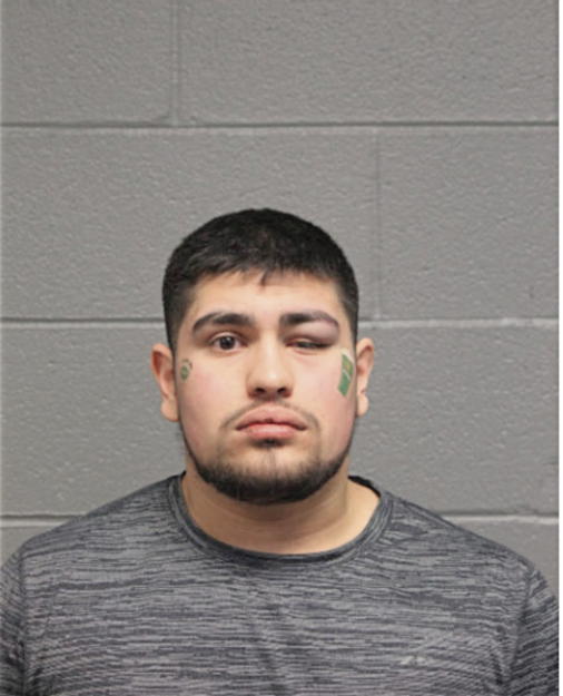 BRADLEY MEDINA, Cook County, Illinois
