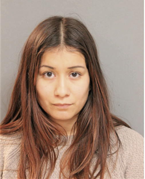 ROSA M NAVARRETE, Cook County, Illinois