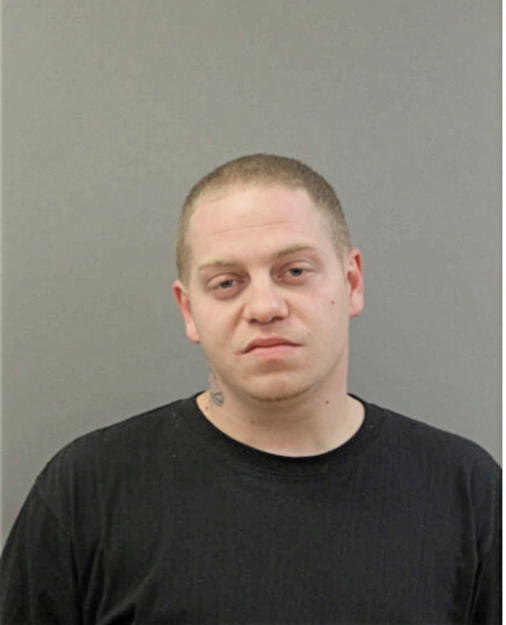 RYAN A SAMMARCO, Cook County, Illinois