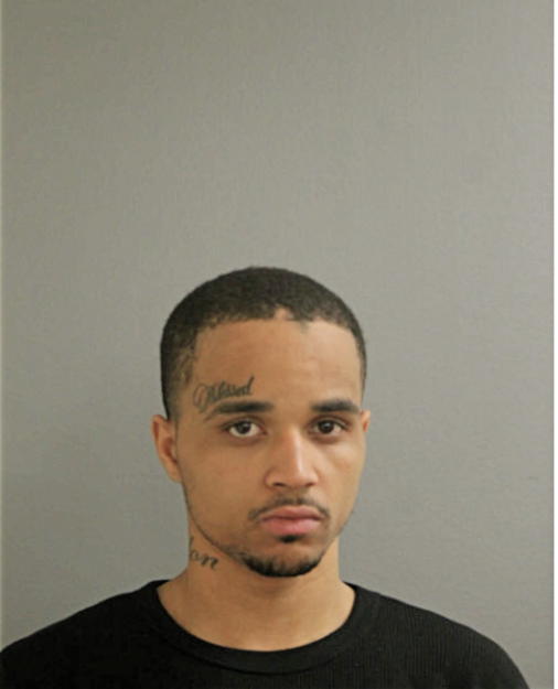 TERRELL D WYATT, Cook County, Illinois