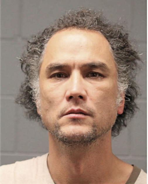MICHAEL Y YORK, Cook County, Illinois