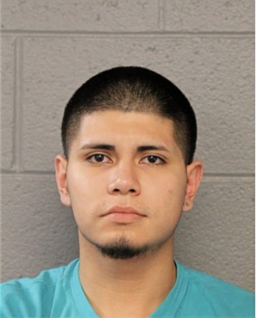 NELSON AVILES, Cook County, Illinois