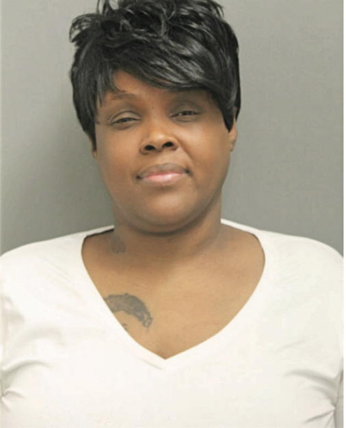 LISA J DAVIS-CAMERON, Cook County, Illinois