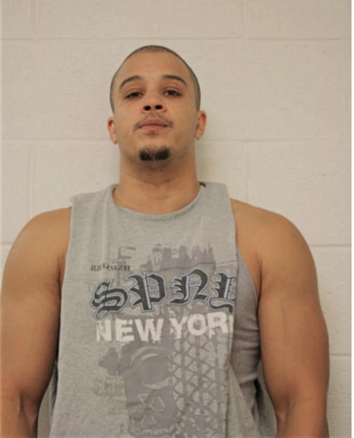 MICHAEL A DIAZ, Cook County, Illinois