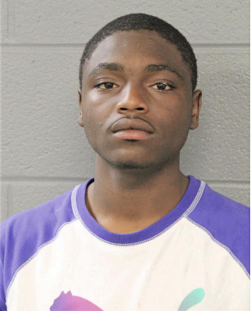 CHRISTOPHER N ELLIS, Cook County, Illinois