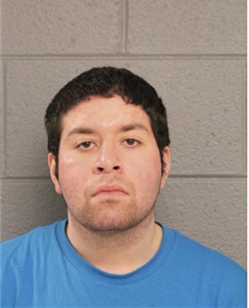 VINCENT J LOERA, Cook County, Illinois