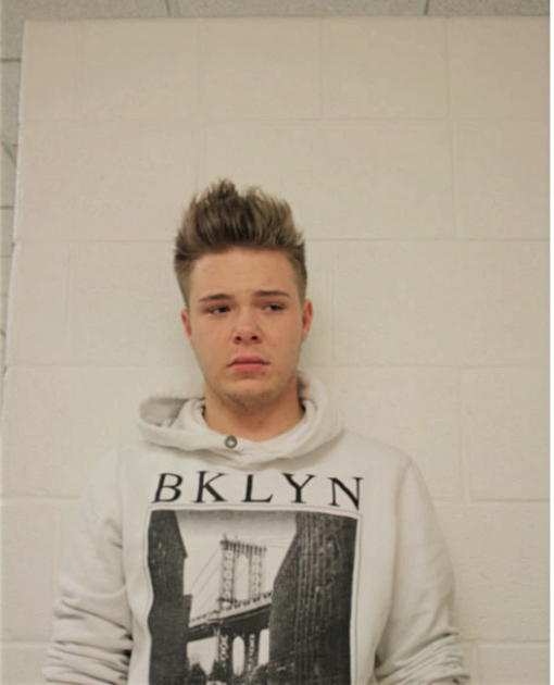 ALEKSANDER STEFAN MATLAK, Cook County, Illinois