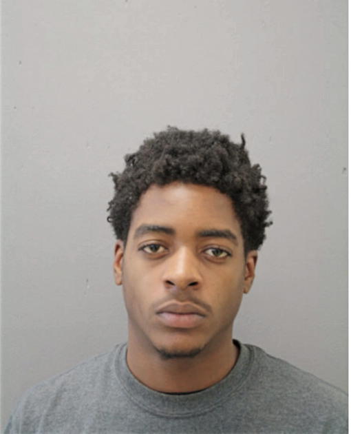 SANTANA D MITCHELL, Cook County, Illinois