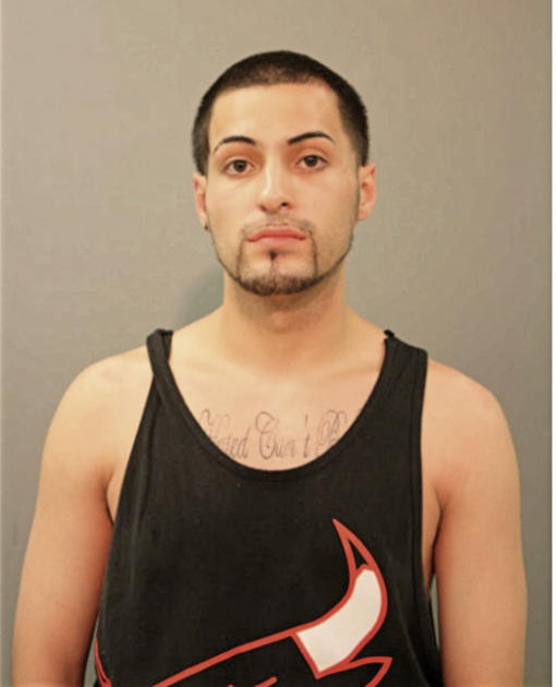 ANIBAL PONTOJA, Cook County, Illinois