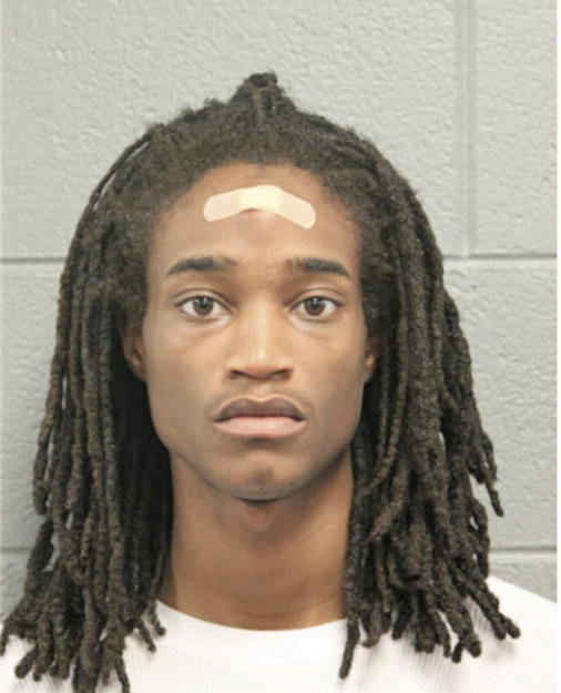 JOSHUA T SANDERS, Cook County, Illinois