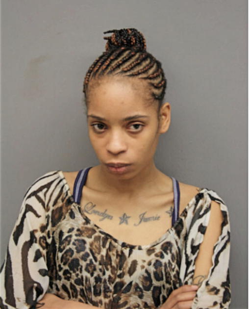 LUCILLE SANDERS-LANE, Cook County, Illinois