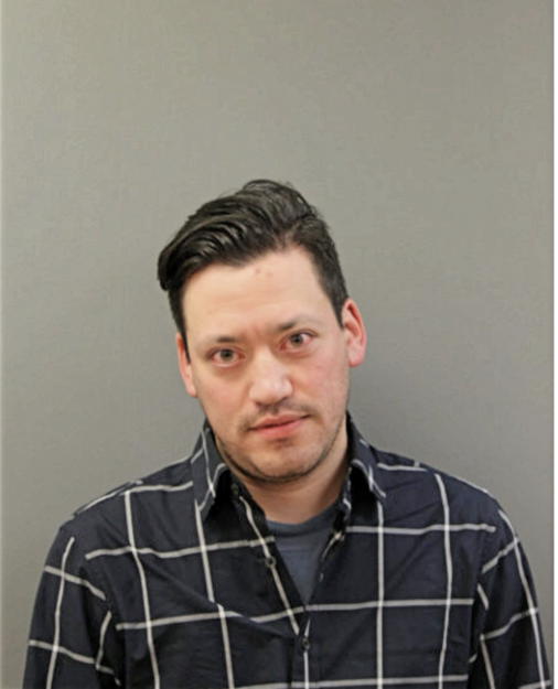 ANDREW G ZIMMERMAN, Cook County, Illinois