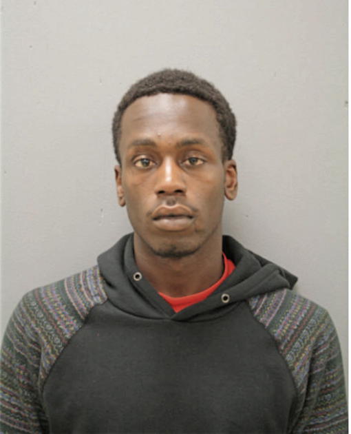 MIKIEL R ANDERSON, Cook County, Illinois