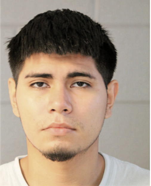 NELSON AVILES, Cook County, Illinois