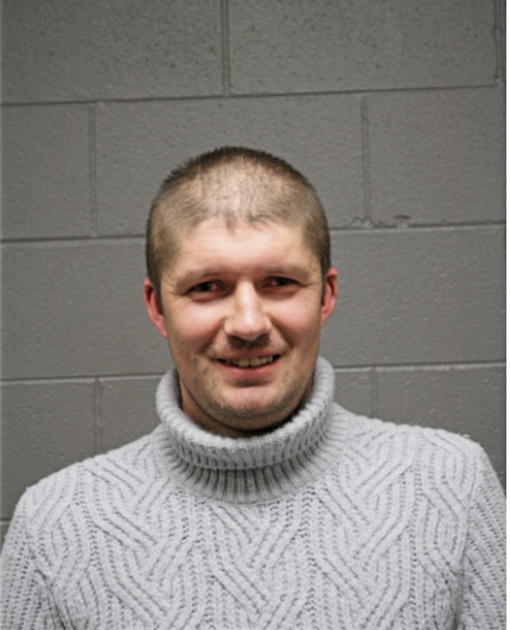 VITALII BABII, Cook County, Illinois