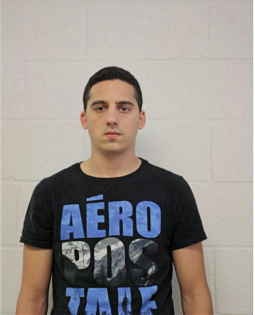 JAKSA BOZOVIC, Cook County, Illinois