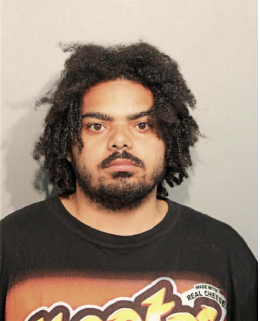 DOMINITREIS K DIRKANS, Cook County, Illinois