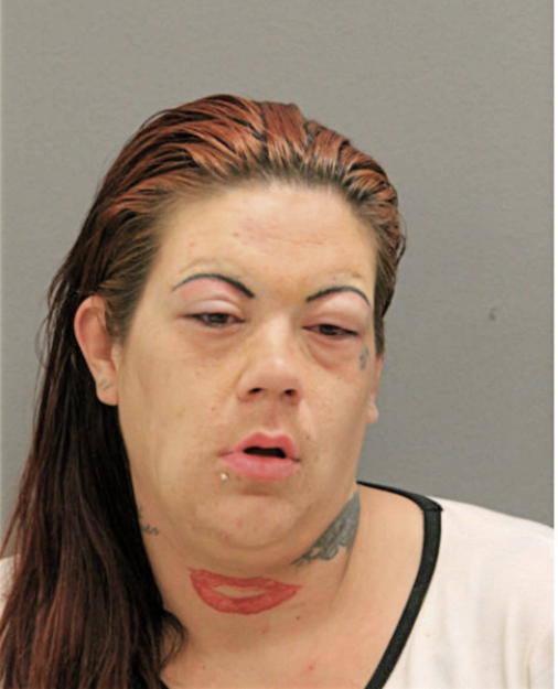 NINA C FOSS, Cook County, Illinois