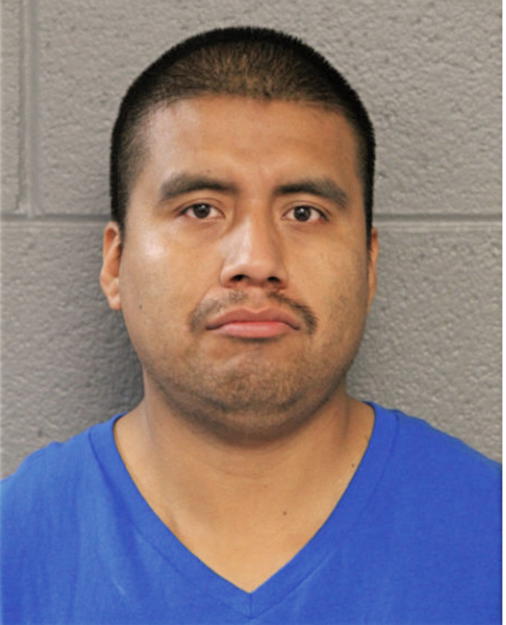 ANDRES GONZALEZ, Cook County, Illinois