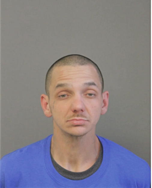 RAY J HAMILTON, Cook County, Illinois
