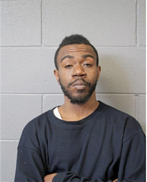 AMIR R HAYWOOD, Cook County, Illinois