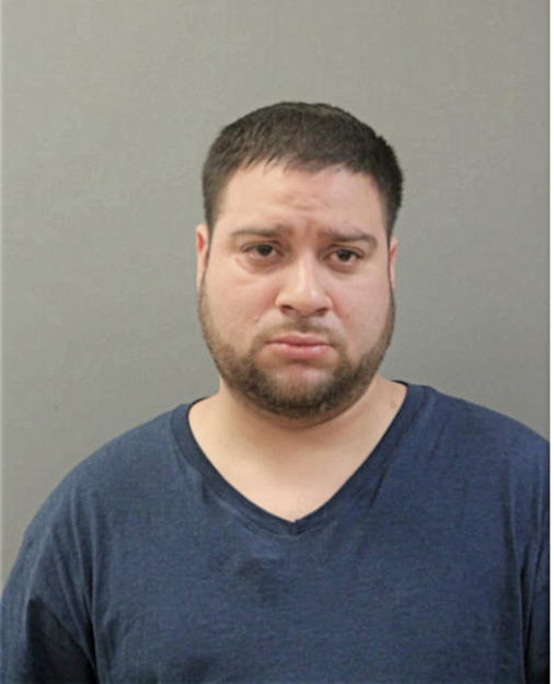 CRISTIAN F HERNANDEZ, Cook County, Illinois