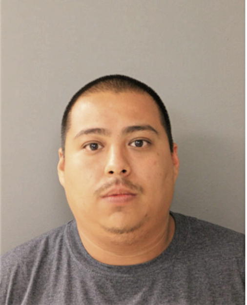 MIGUEL A INEGUEZ, Cook County, Illinois