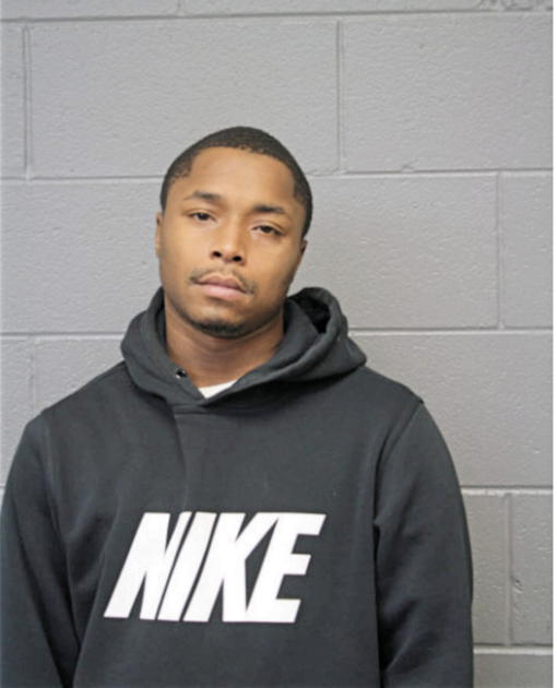 SHAUN A JENKINS, Cook County, Illinois