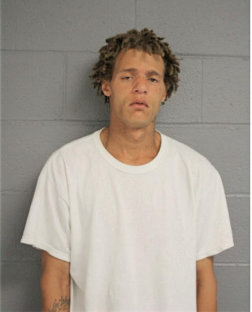 MICHAEL JOHNSON, Cook County, Illinois