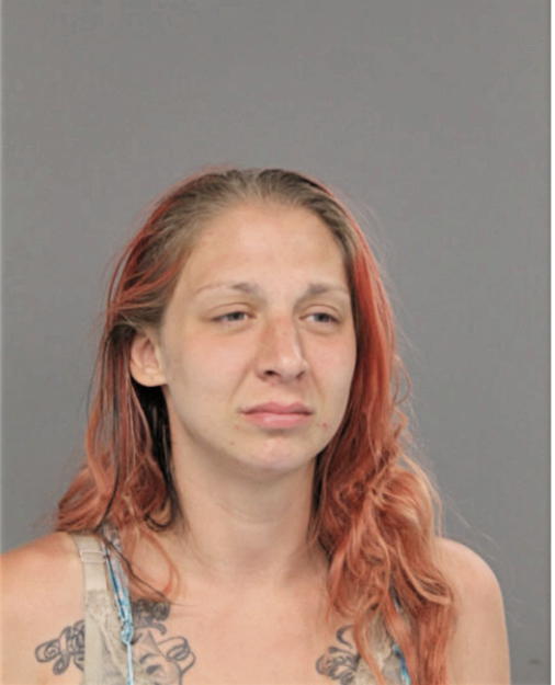 SHERI L KNEPPLE, Cook County, Illinois