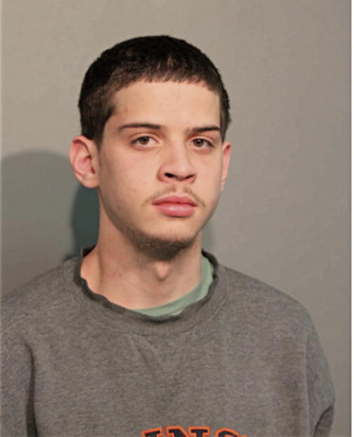 MILES R KOYAMA, Cook County, Illinois