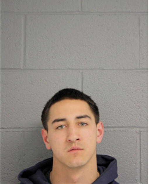 JUSTIN HOBBS LESNIEWICZ, Cook County, Illinois