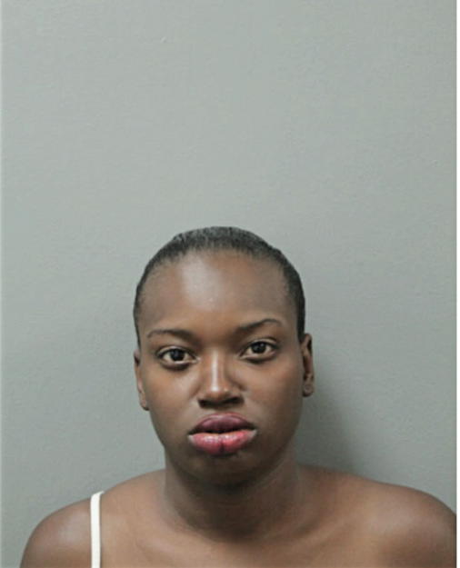 BEARRA K LOFTON, Cook County, Illinois