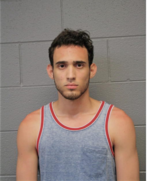 FABIO MARTIN-QUINTAS, Cook County, Illinois