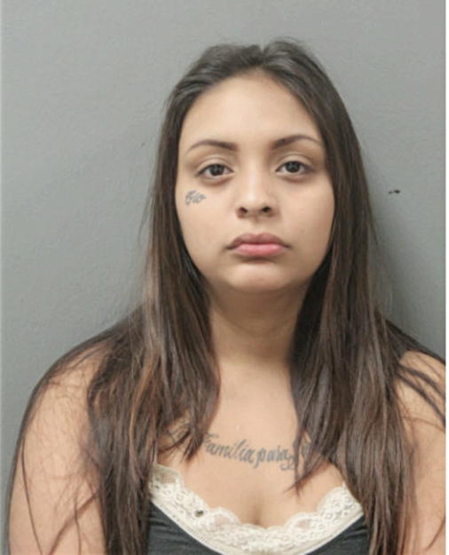 YARIRA MEZA, Cook County, Illinois