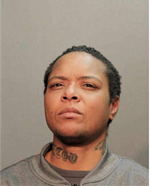 LATOYA L NICKERSON, Cook County, Illinois