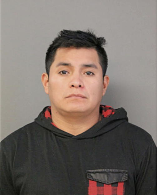 LUIS D QUINDISACA, Cook County, Illinois