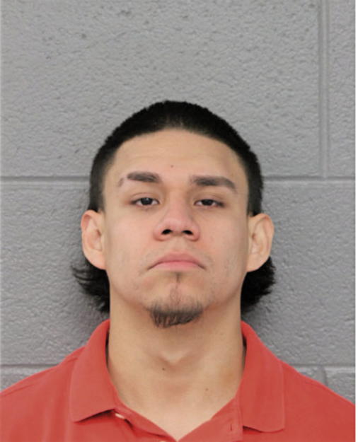 IVAN REYES, Cook County, Illinois