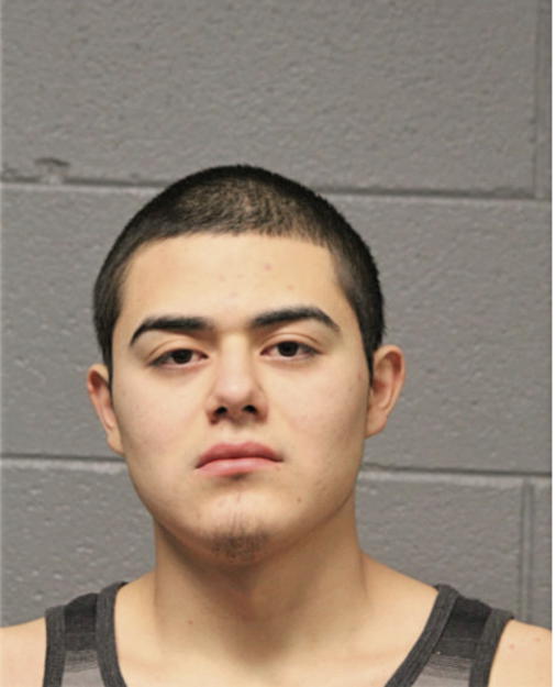 BOLIVAR ALCARAZ, Cook County, Illinois