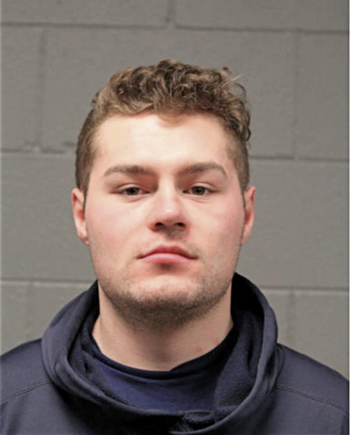 ALEXANDER S BERBAKOV, Cook County, Illinois