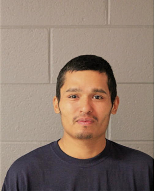 DAVID C CALVILLO, Cook County, Illinois