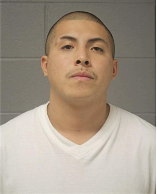 RUEBEN D CASTRO, Cook County, Illinois