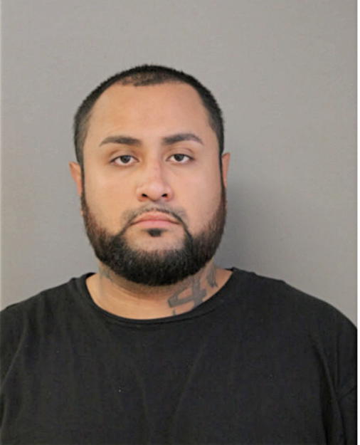 CHRISTIAN G DELATORRE, Cook County, Illinois