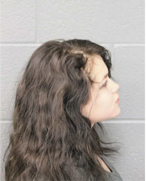 YULISSA DURAN, Cook County, Illinois