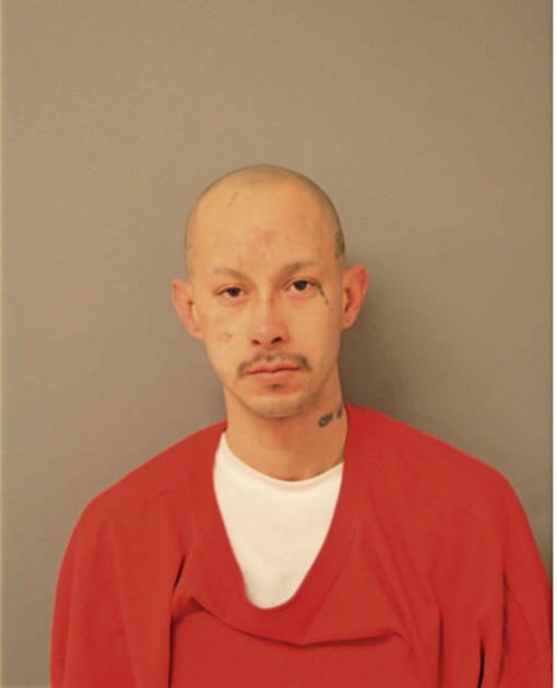RAMON A GARCIA, Cook County, Illinois