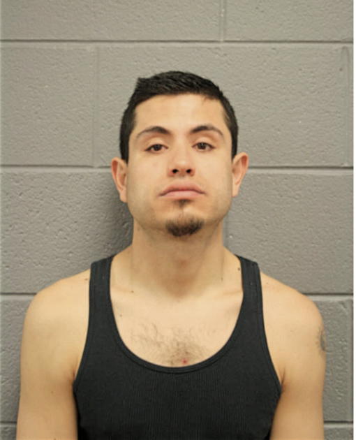 JULIO GONZALES, Cook County, Illinois