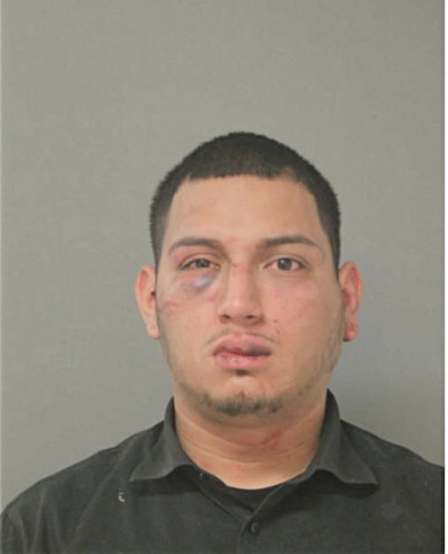 RICARDO HERNANDEZ, Cook County, Illinois