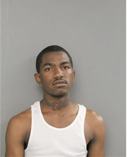 CHRISTOPHER A HINES, Cook County, Illinois