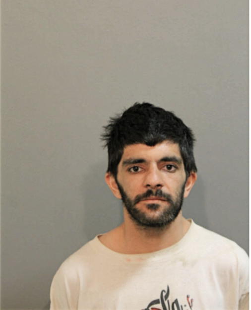 MARK A JAIKARAN, Cook County, Illinois