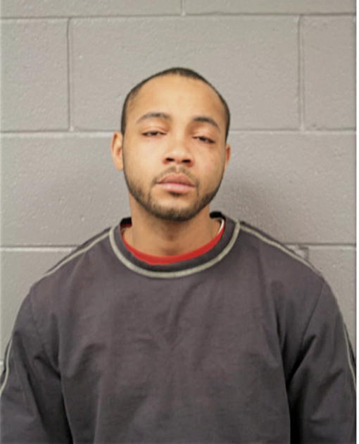 MARSHALL S JOHNSON, Cook County, Illinois